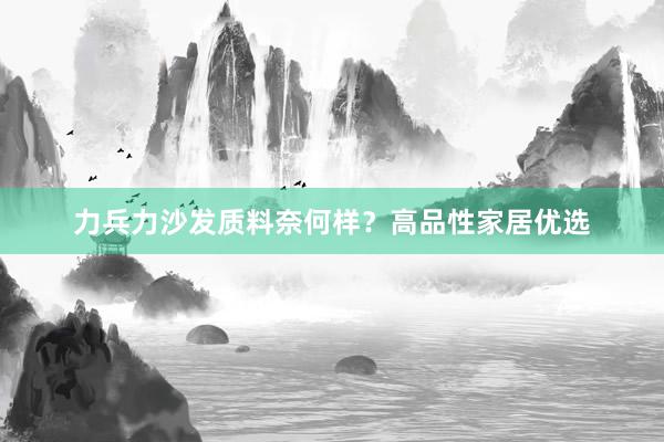 力兵力沙发质料奈何样？高品性家居优选